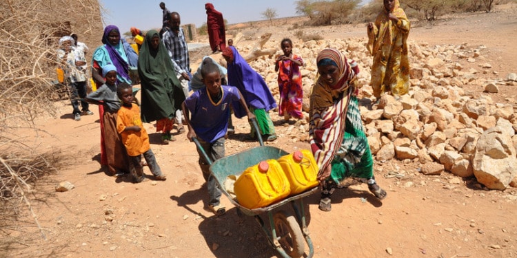 Windfall Tax on Covid Profits Could Ease ‘Catastrophic’ Food Crisis, Says Oxfam