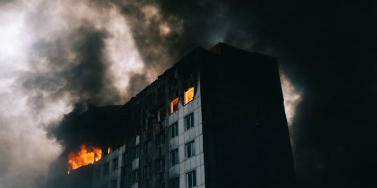 In Wartime, Mental Health and One Health Are Casualties