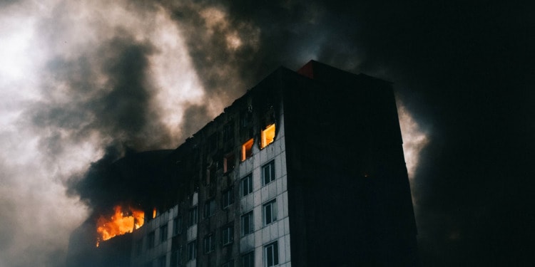 In Wartime, Mental Health and One Health Are Casualties