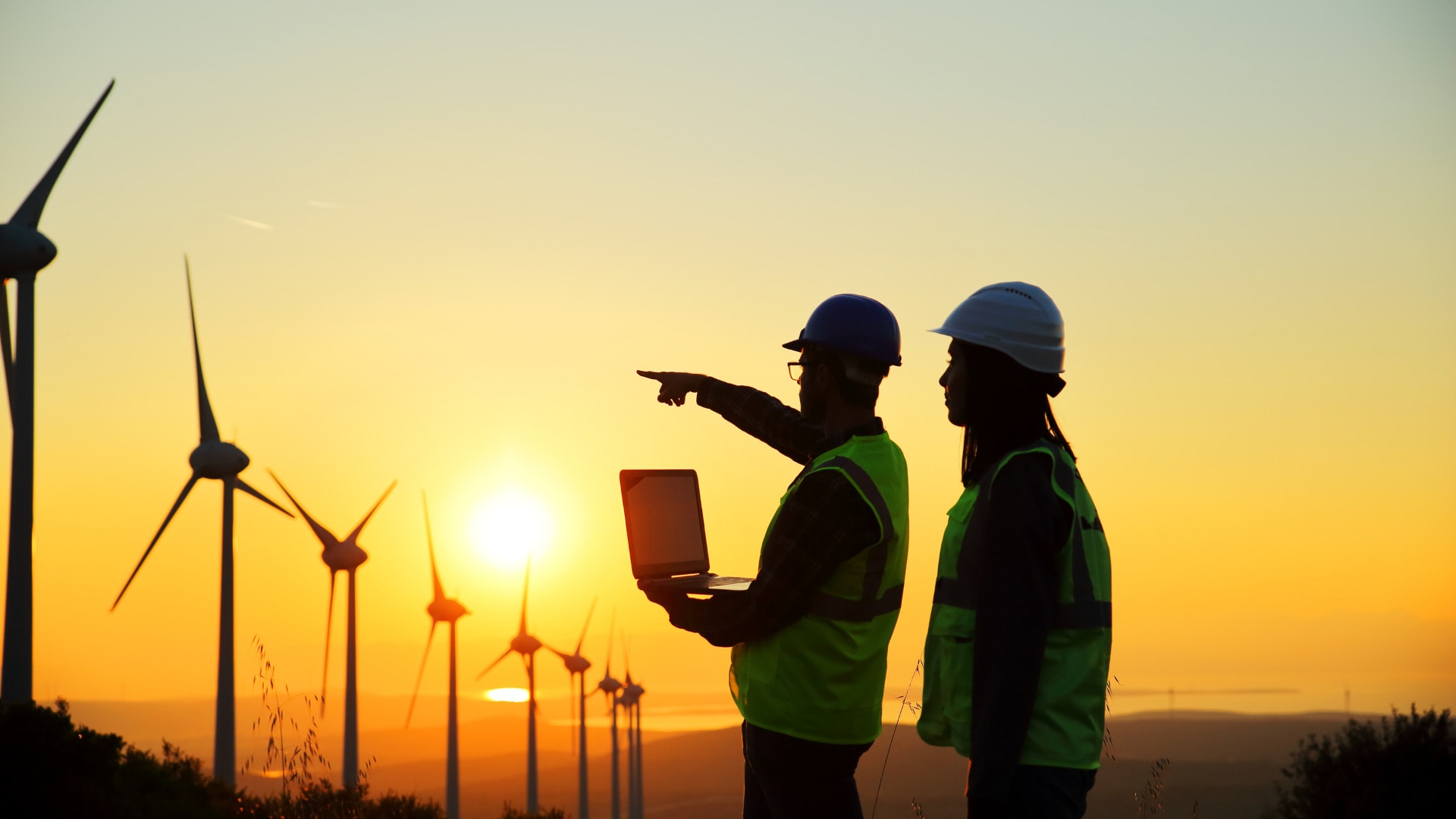 World Environment Day: Do We Have the Skills to Make the Green Transition Happen?