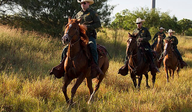 Border Patrol agents from the McAllen station horse patrol unit on patrol on horseback in South Texas. Photographer: Donna Burton