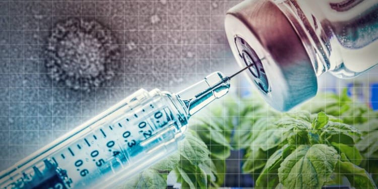 Why One Health is Key To Address Future Pandemics 