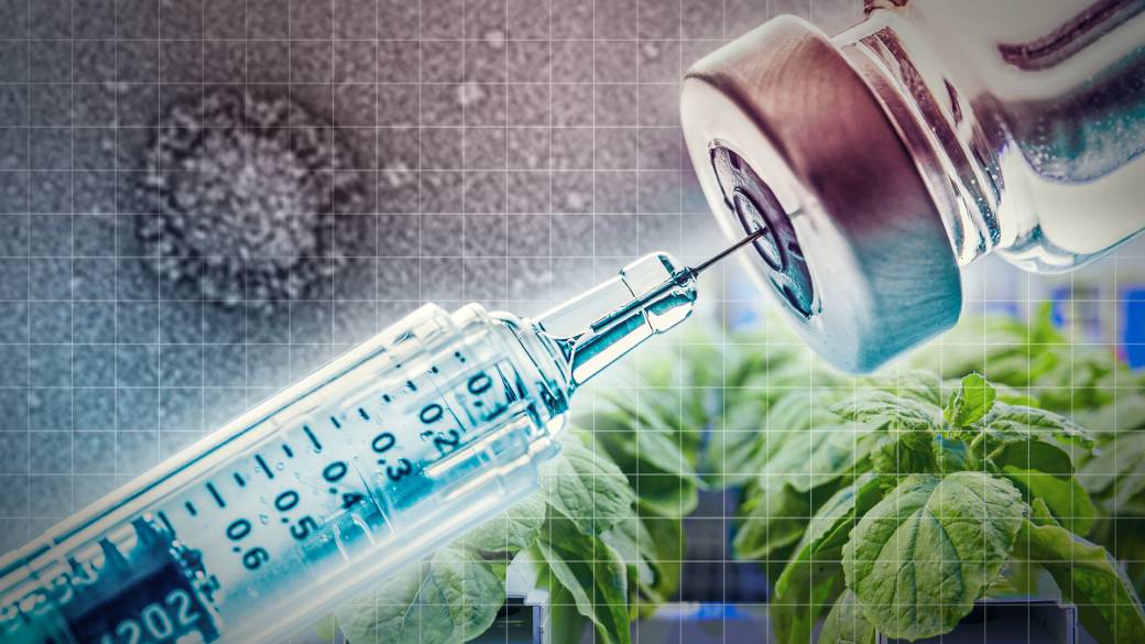 Why One Health is Key To Address Future Pandemics