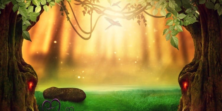 What Is Eco-fiction and Why it Matters