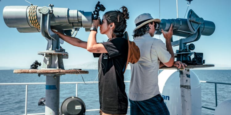 Defending Marine Life:  Sea Shepherd Goes From Vigilante to Scientist