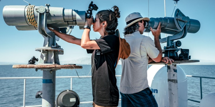 Defending Marine Life: Sea Shepherd Goes From Vigilante to Scientist