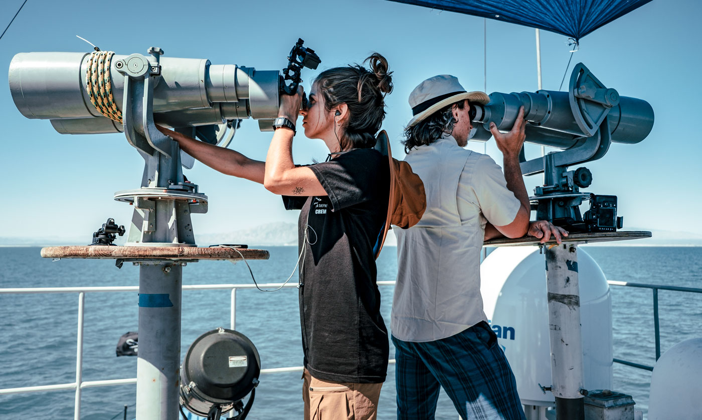 Defending Marine Life: Sea Shepherd Goes From Vigilante to Scientist