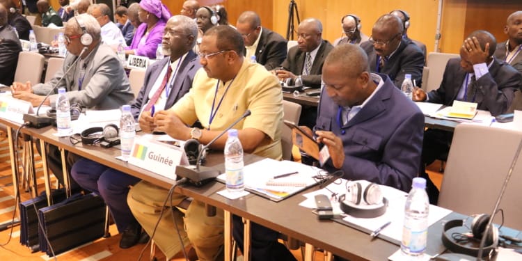 Environment, Part of One Health, Is Often Missing in Action