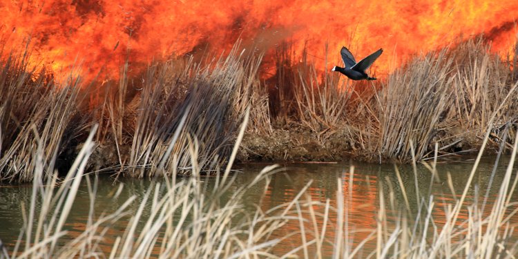 Biden Unveils $2.3bn Climate Plan but Fails to Declare Climate Emergency