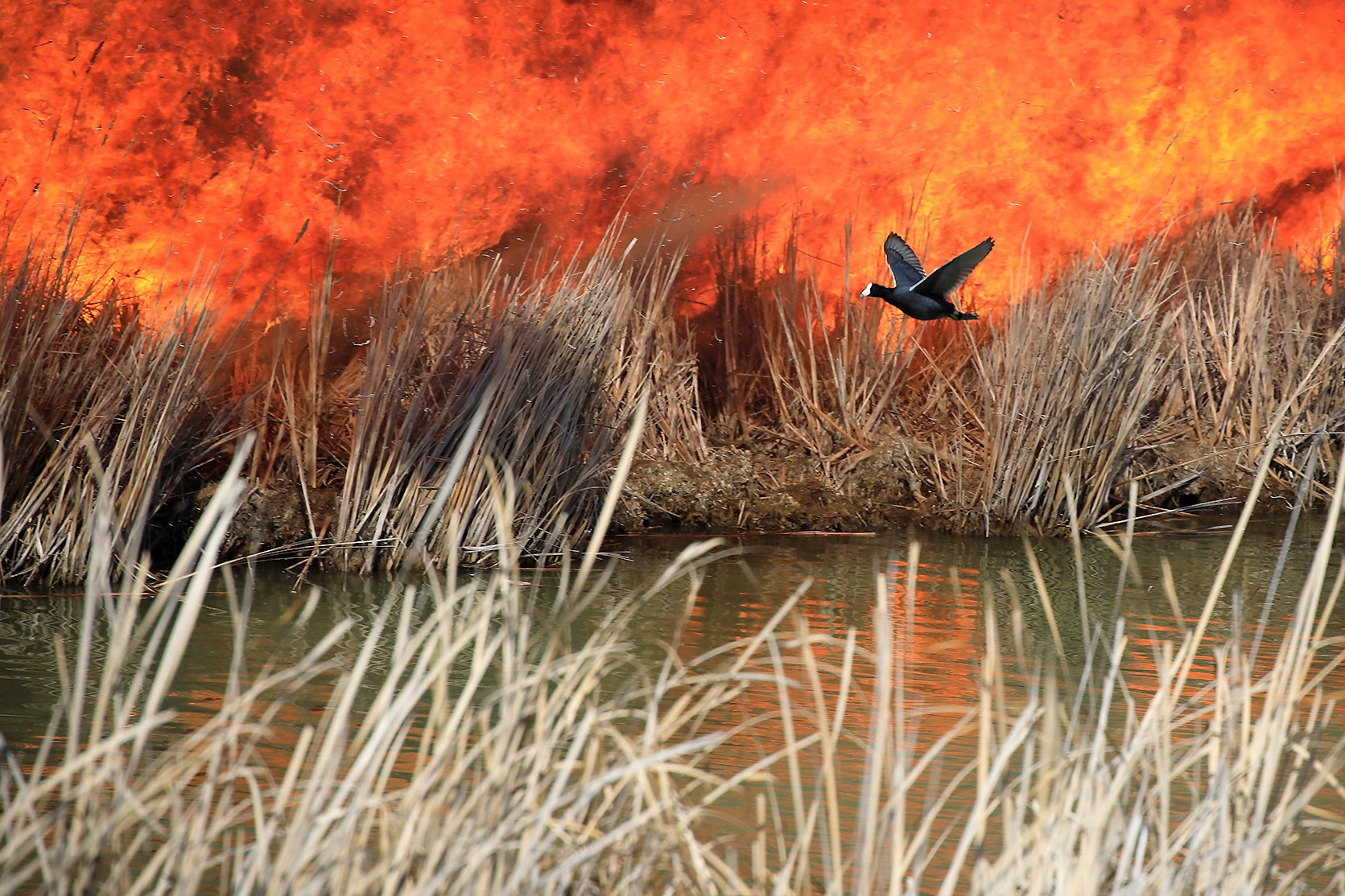 Biden Unveils $2.3bn Climate Plan but Fails to Declare Climate Emergency