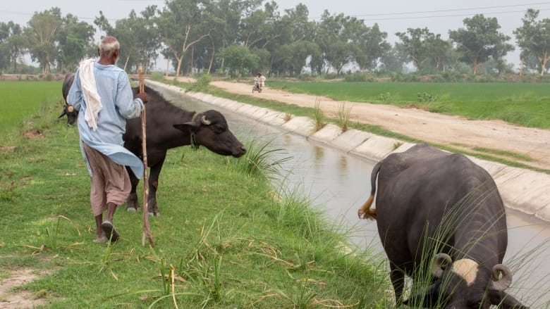 One Health: The International Community Takes A New Step Forward