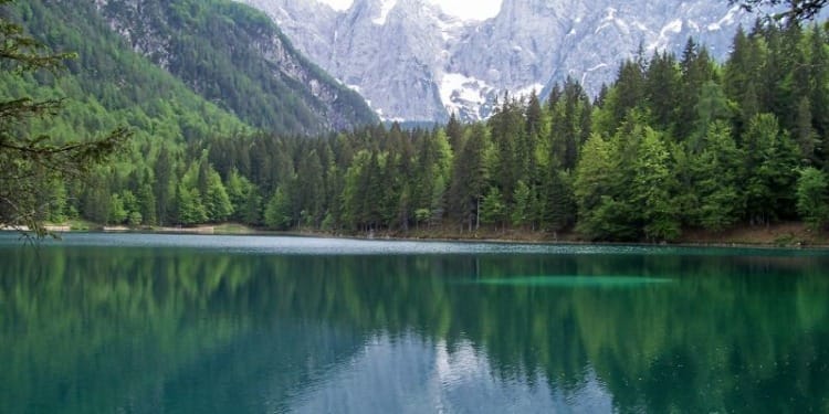 UN Declares a Clean and Healthy Environment as a Fundamental Human Right