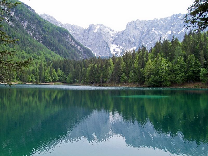 UN Declares a Clean and Healthy Environment as a Fundamental Human Right