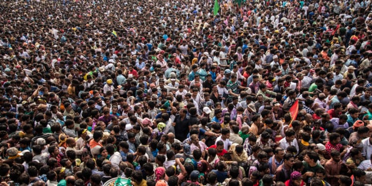 World Population to Hit 8 billion People on November 15