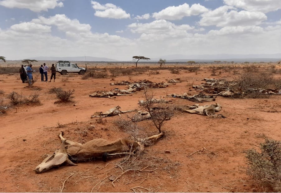 African Countries, Least Responsible for Climate Change, Will Have to Spend the Most to Adapt 