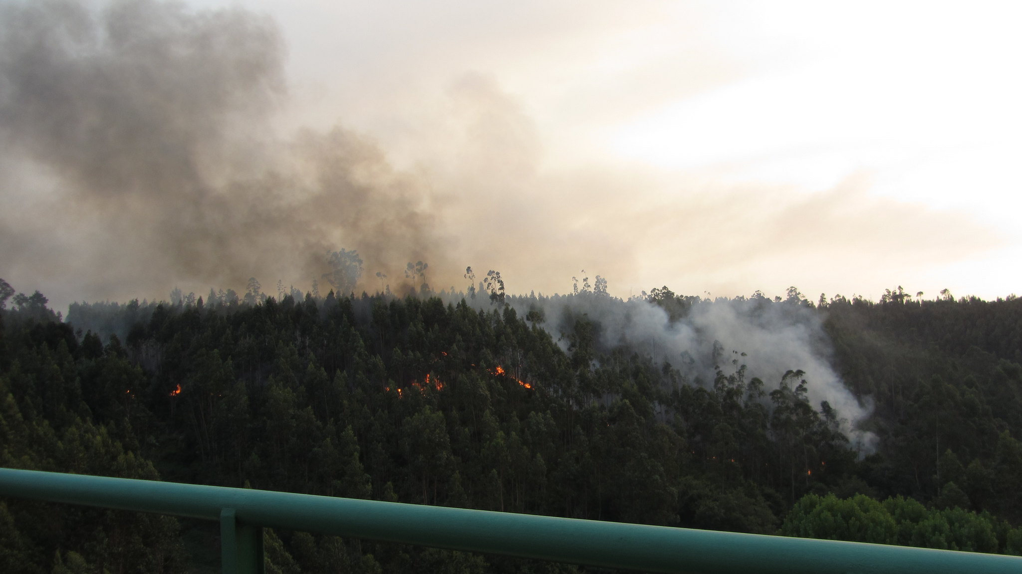 Summer in Europe Like Never Before: Extreme Heat and Out-of-Control Wildfires