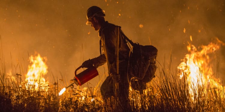 Climate Change makes heatwaves more likely, new study finds