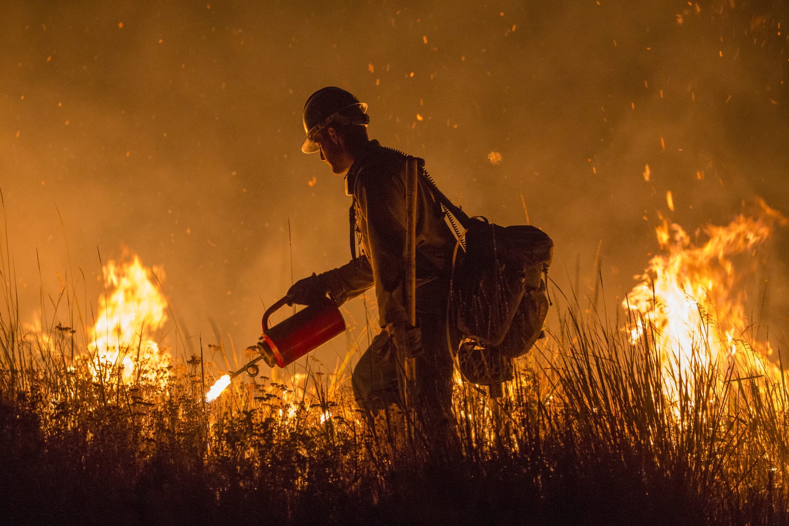 Climate Change makes heatwaves more likely, new study finds