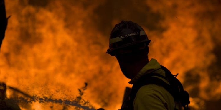 Collective Suicide or Collective Action? It’s in Our Hands, Says UN Chief