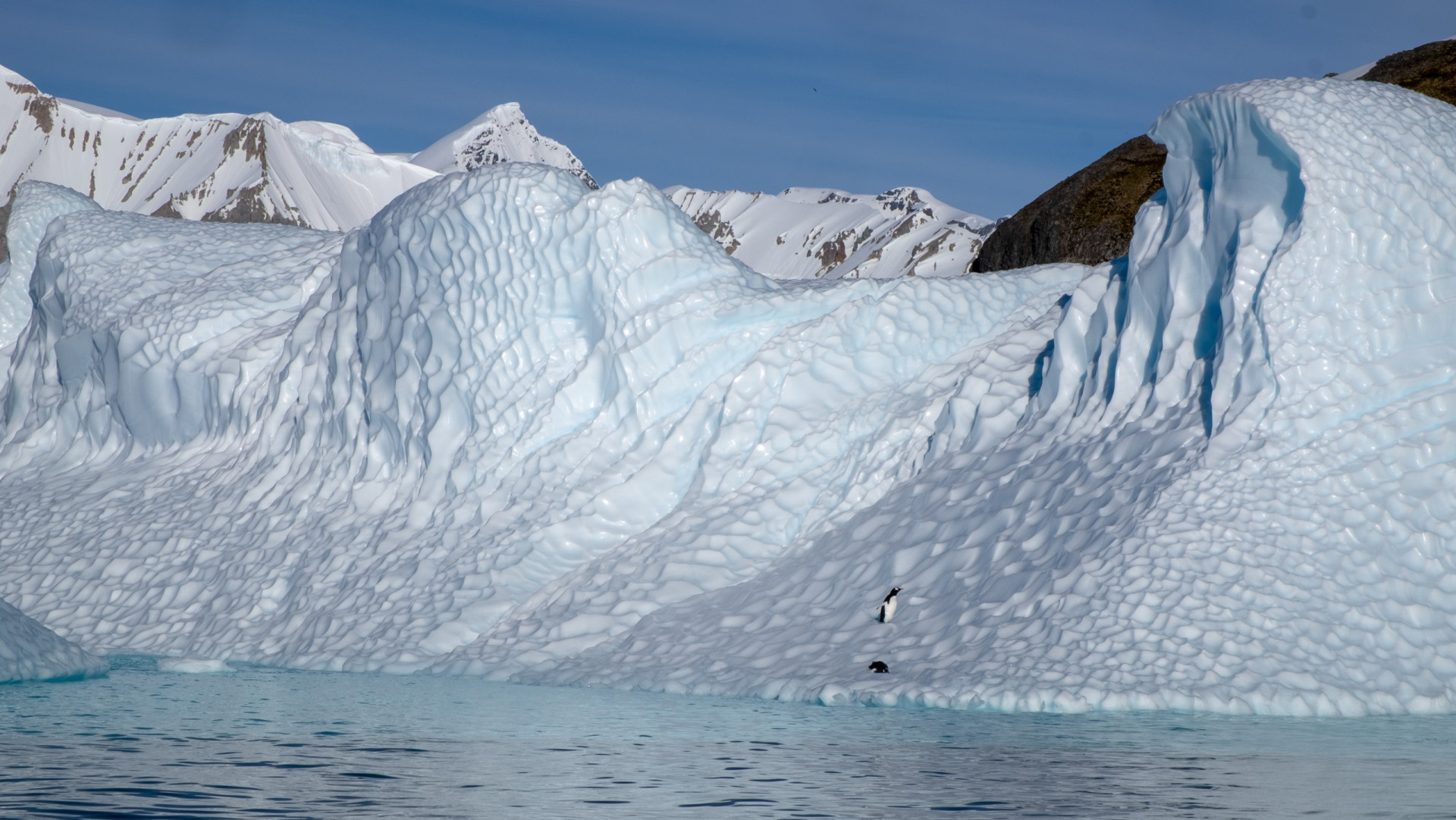 Antarctica