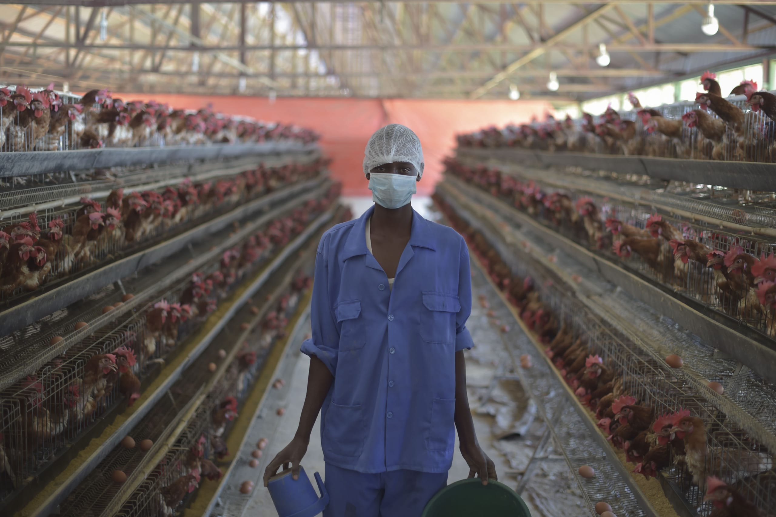 Africa’s Agribusiness Sector to Reach US$1 Trillion by 2030: What Role Does the Youth Play?