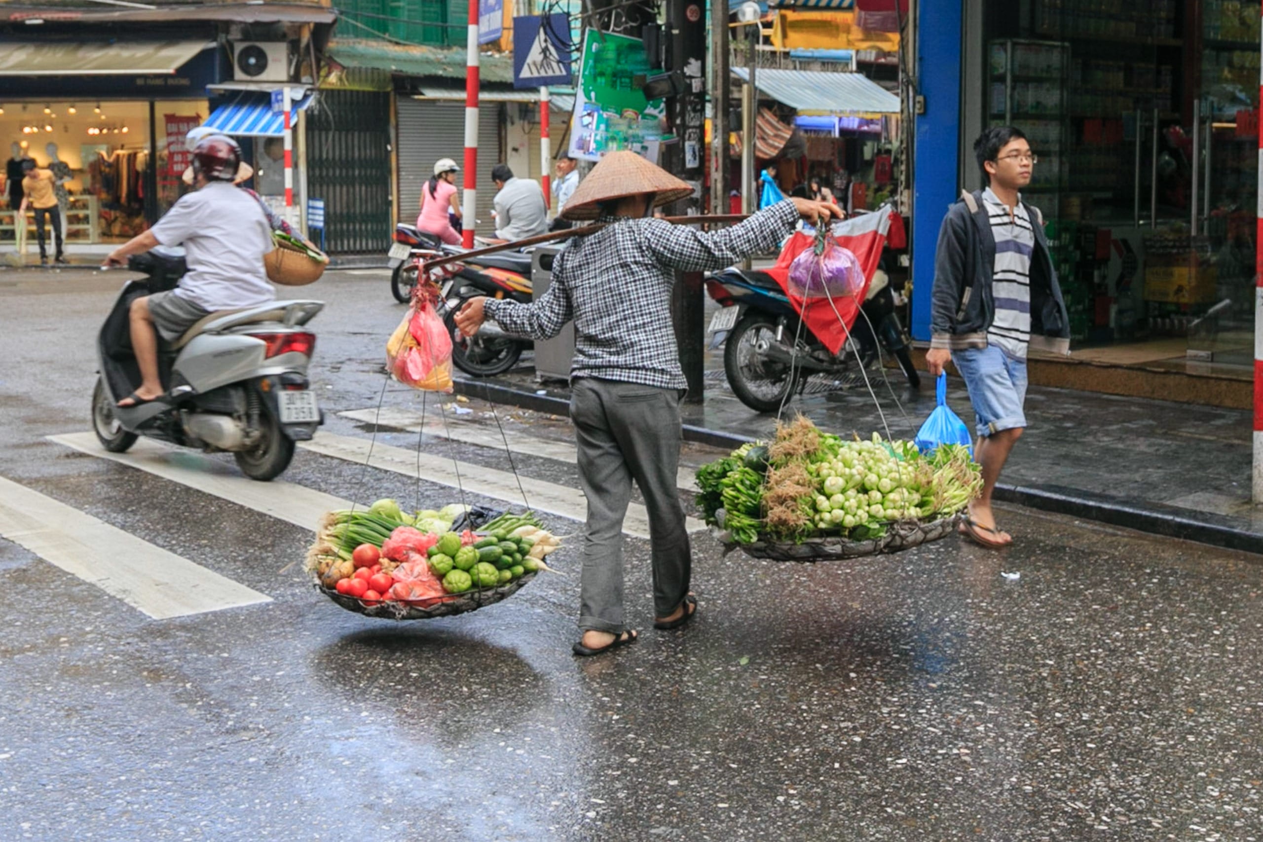 Strengthening Urban Food Systems in Times of Crisis Biology Diagrams
