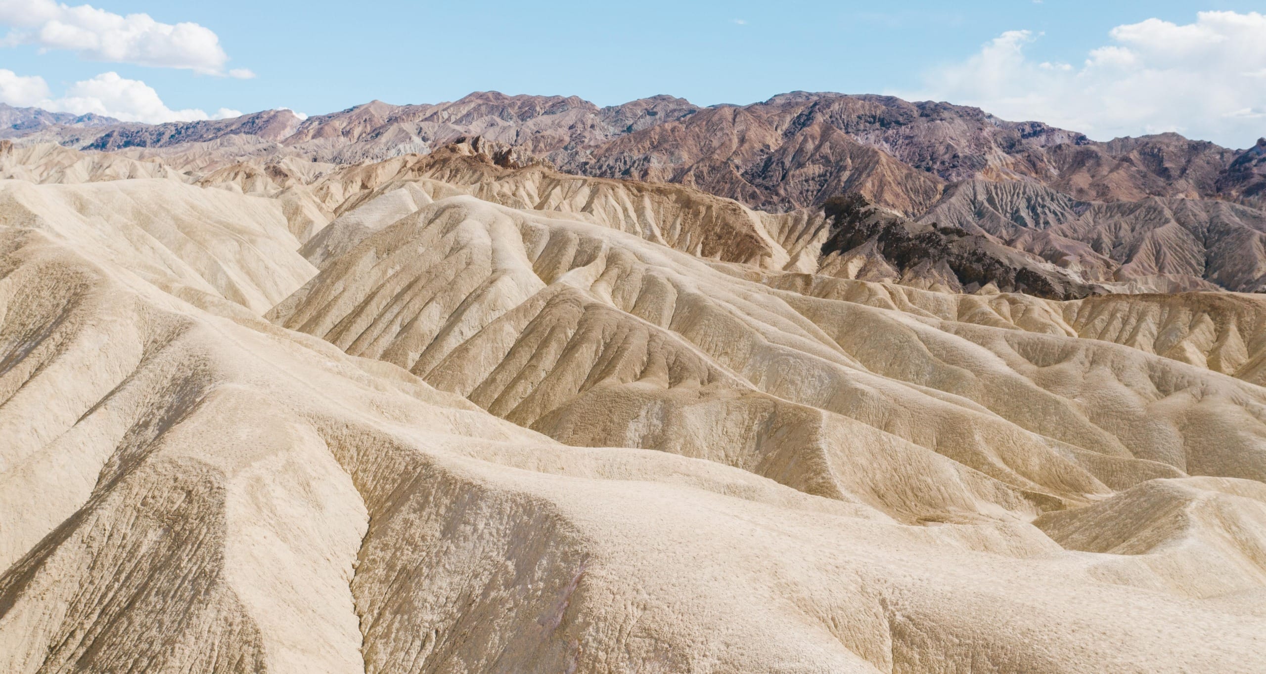 One of Earth’s Driest Places Sees 75% of Annual Rainfall in Just 3 Hours