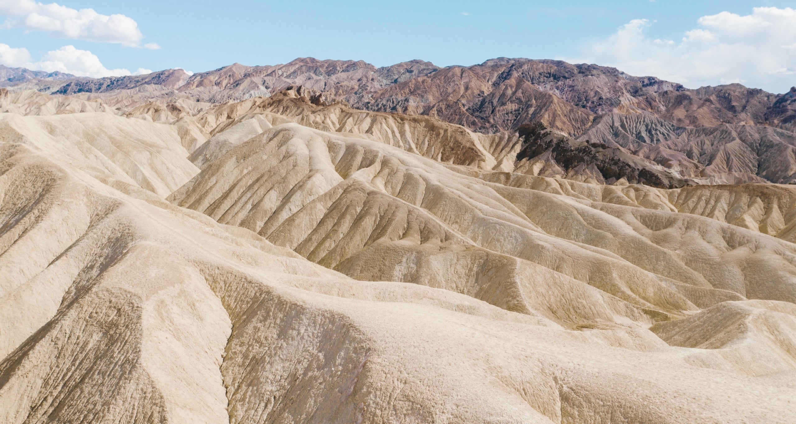 One of Earth’s Driest Places Sees 75% of Annual Rainfall in Just 3 Hours