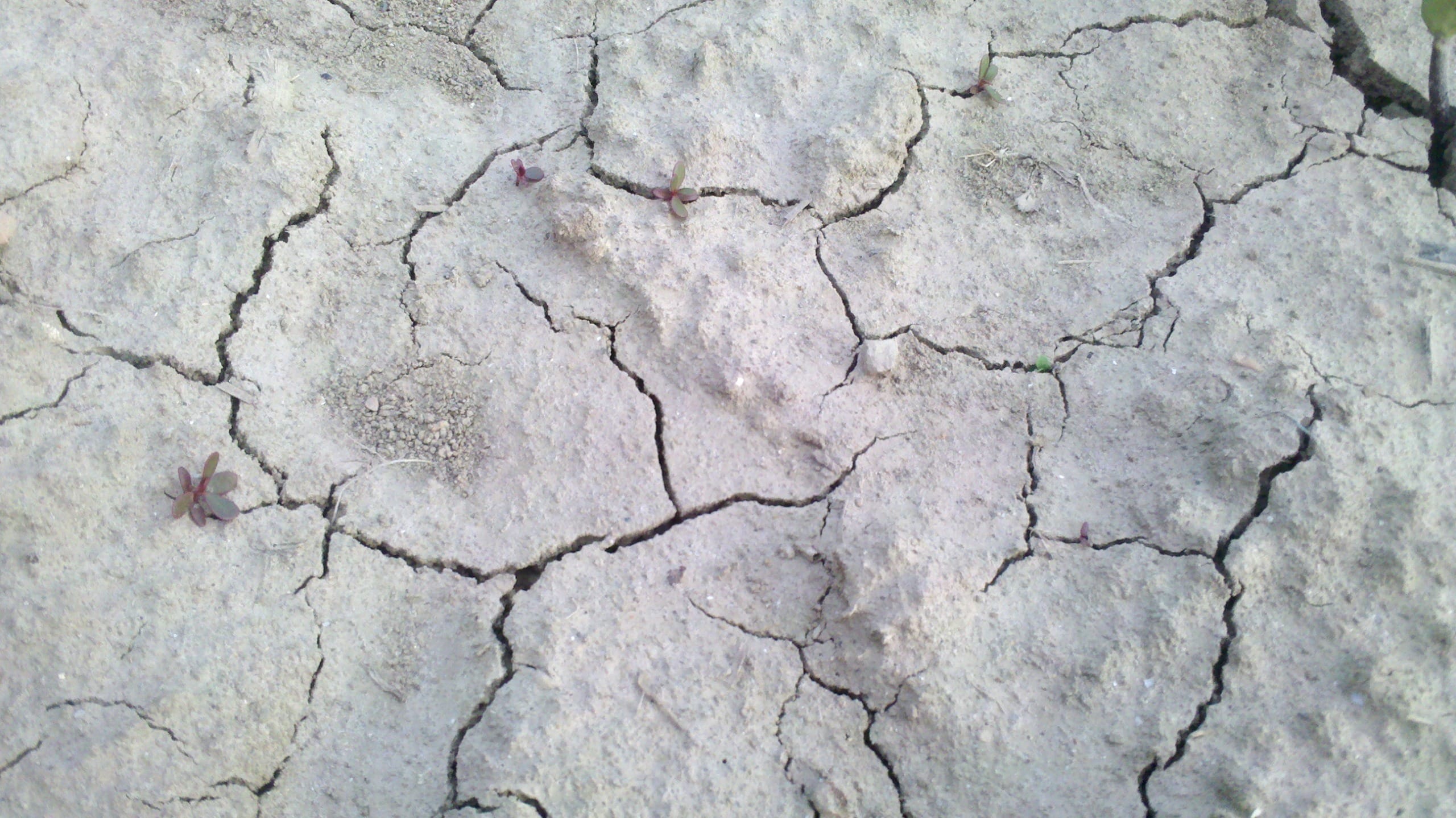 Europe’s Worst Drought in at Least 500 Years Continues