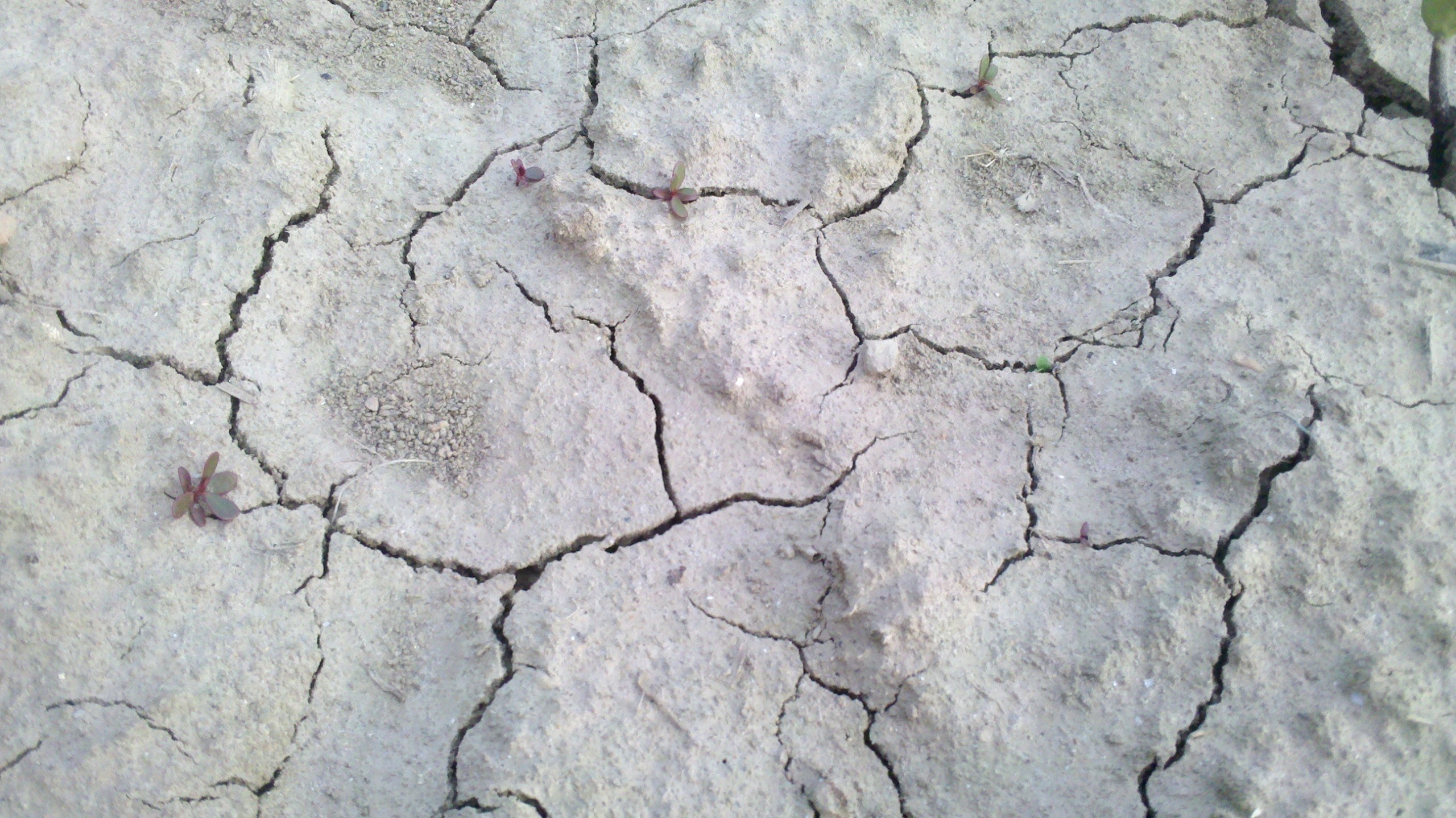 Europe’s Worst Drought in at Least 500 Years Continues