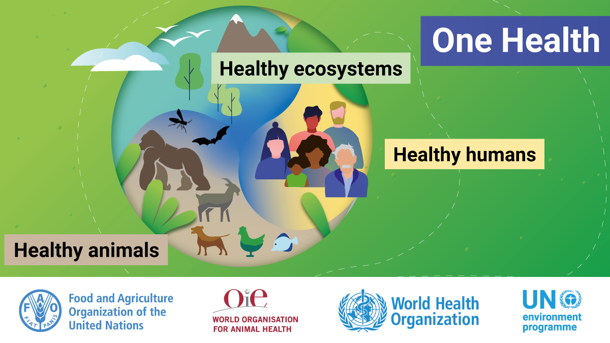Learning From the Past: Why One Health is Needed - Impakter Learning From the Past: Why One Health is Needed - Impakter