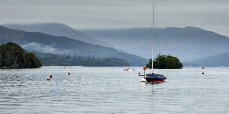 Toxic Algae Is Destroying British Lakes