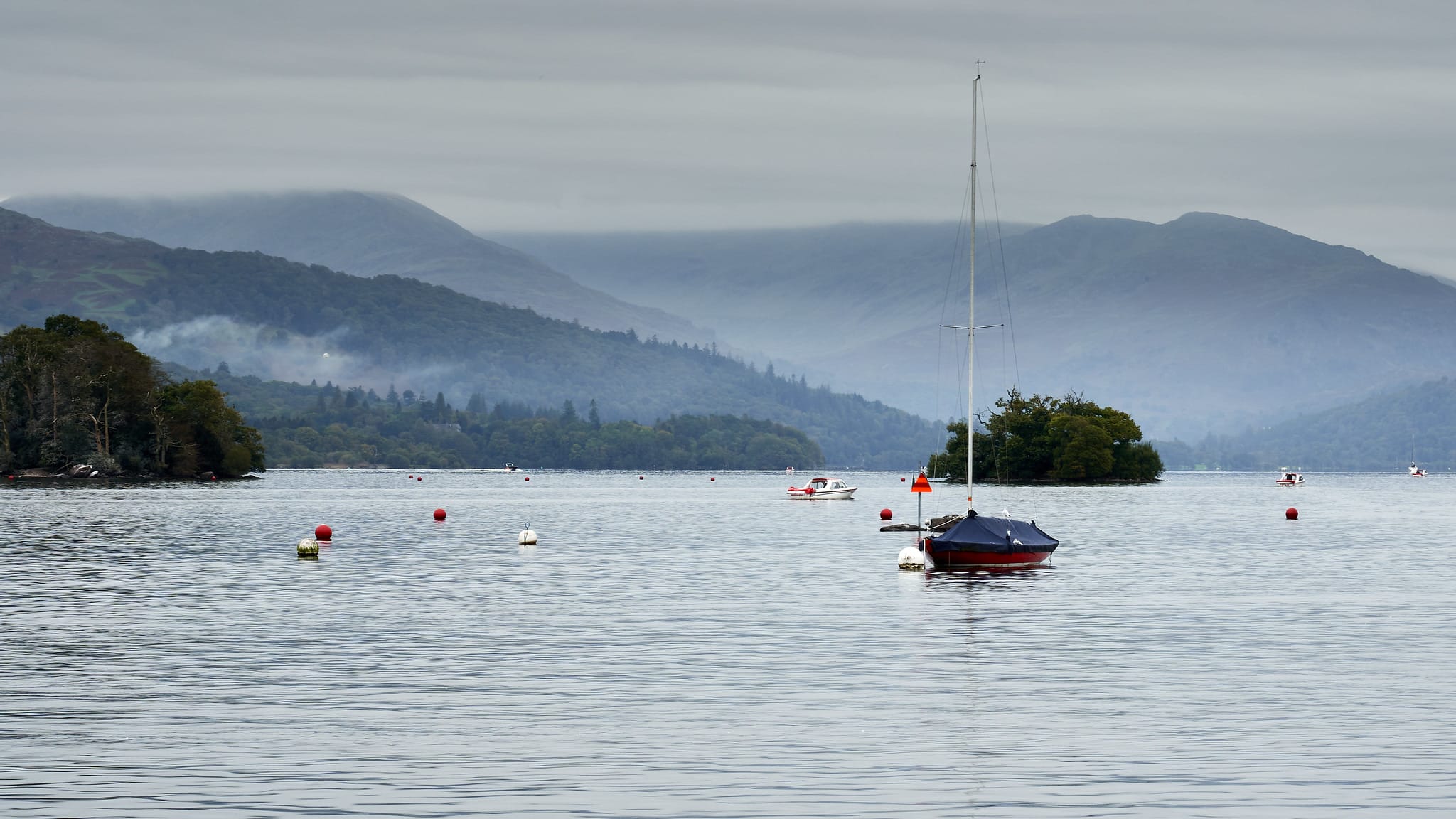 Toxic Algae Is Destroying British Lakes
