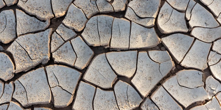 Megadrought in the American South-West: A Climate Disaster Unseen in 1,200 Years