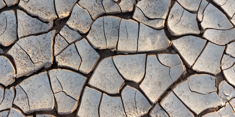 Megadrought in the American South-West: A Climate Disaster Unseen in 1,200 Years