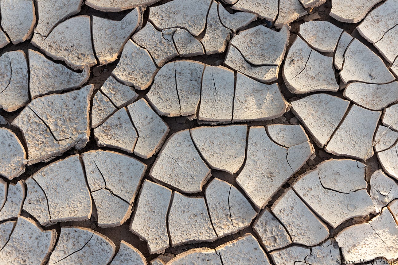 Megadrought in the American South-West: A Climate Disaster Unseen in 1,200 Years