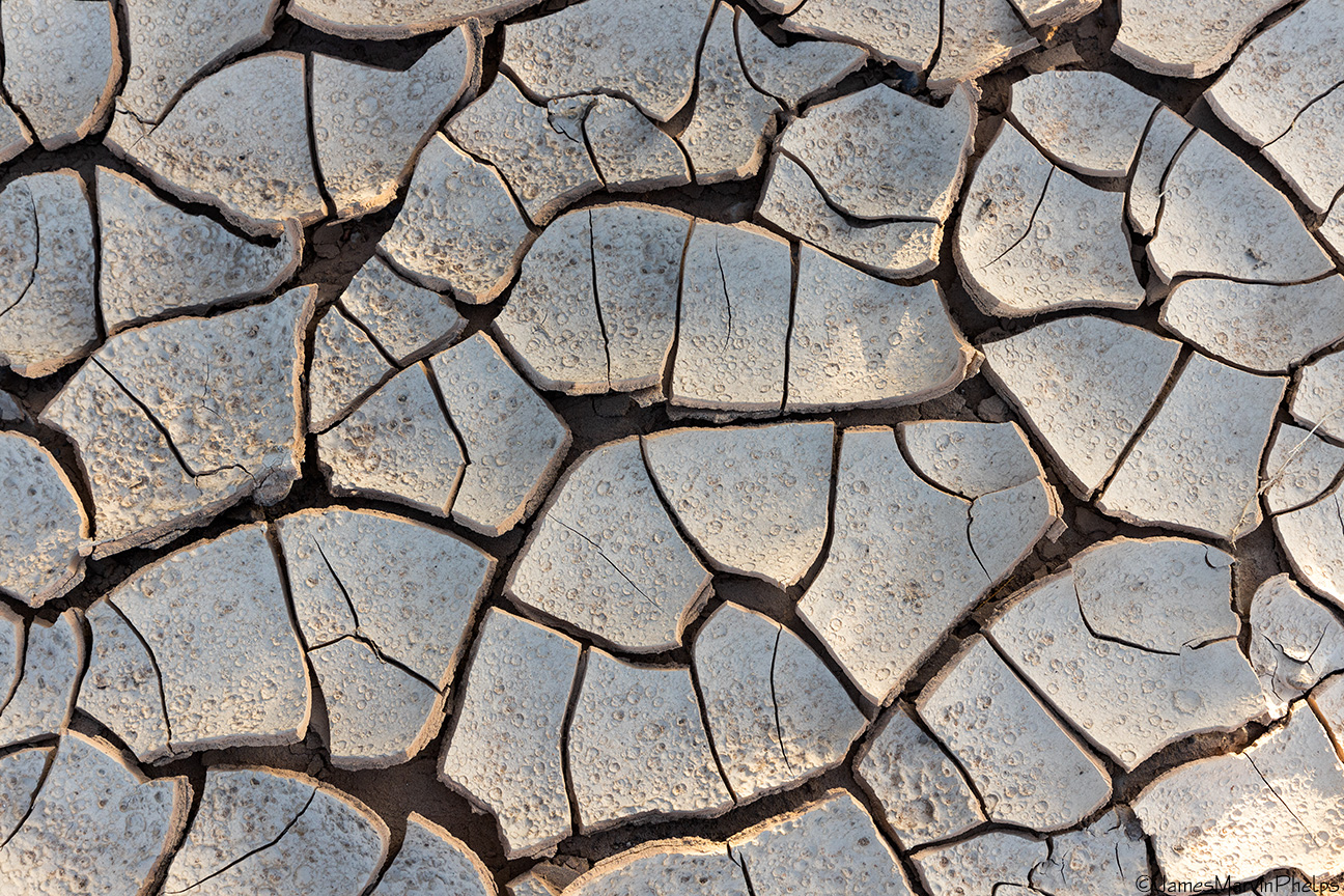 Megadrought in the American South-West: A Climate Disaster Unseen in 1,200 Years