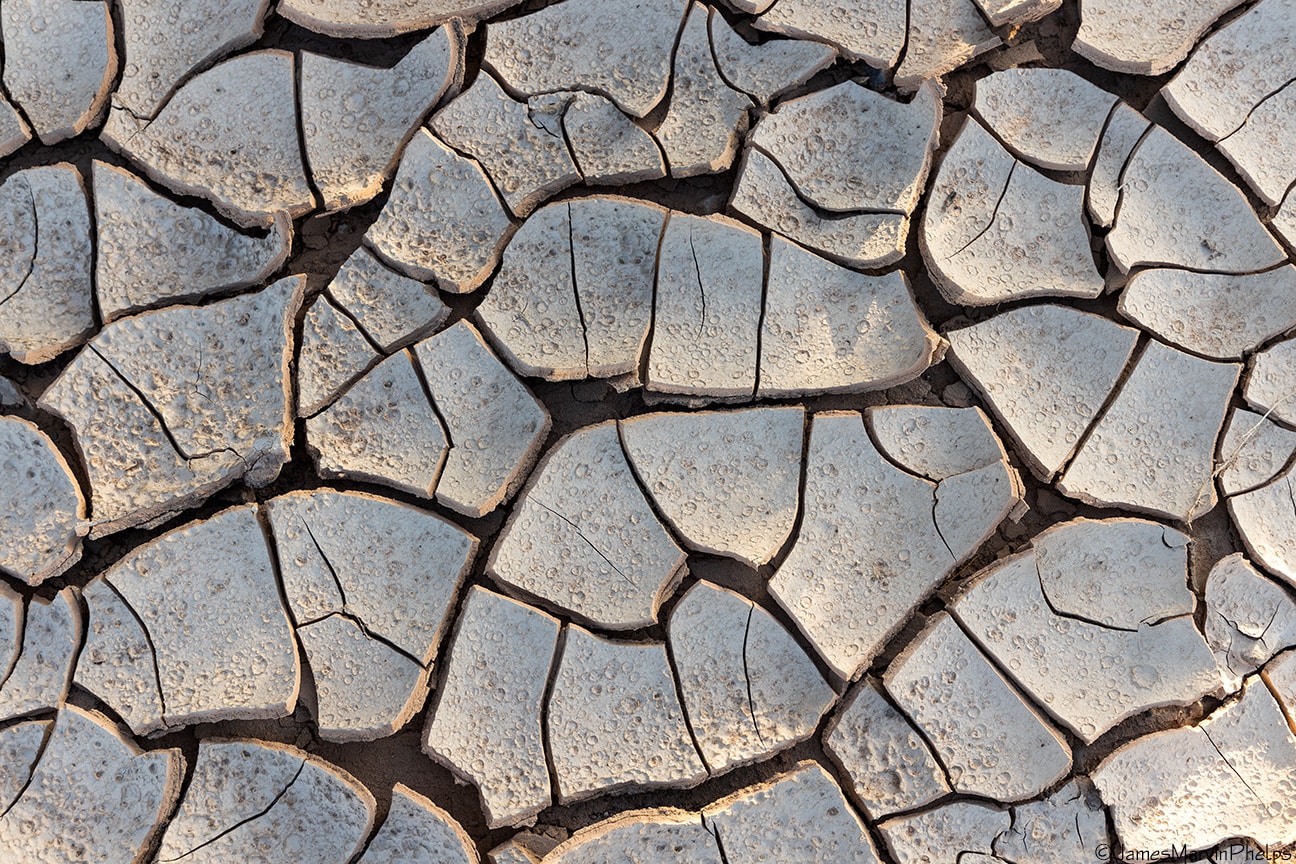 Megadrought in the American South-West: A Climate Disaster Unseen in 1,200 Years