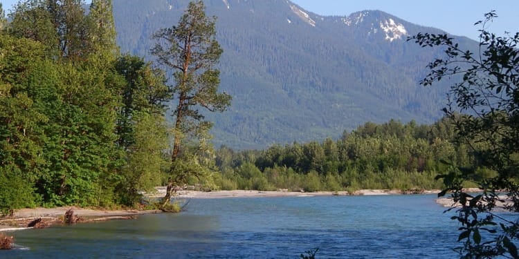 Another World Rivers Day Marked by Suffering for the ‘Arteries of our Planet’