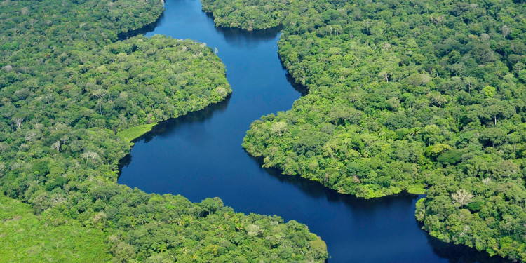 Aerial view of the Amazon Rainforest, near Manaus, the capital of the Brazilian state of Amazonas in 2011. Credit: ©2011CIAT/NeilPalmer.