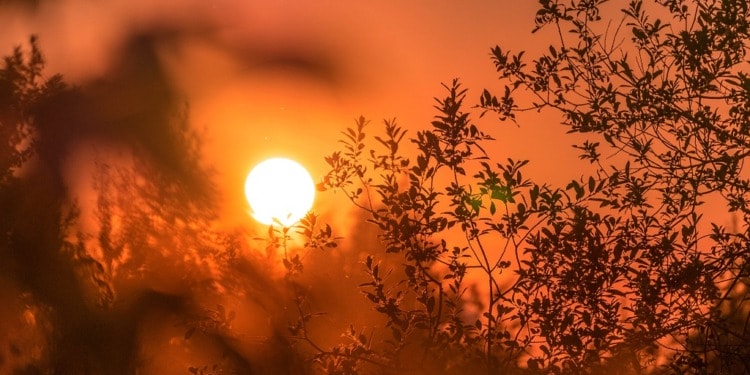 FortyGuard, Using Data to Fight Extreme Heat