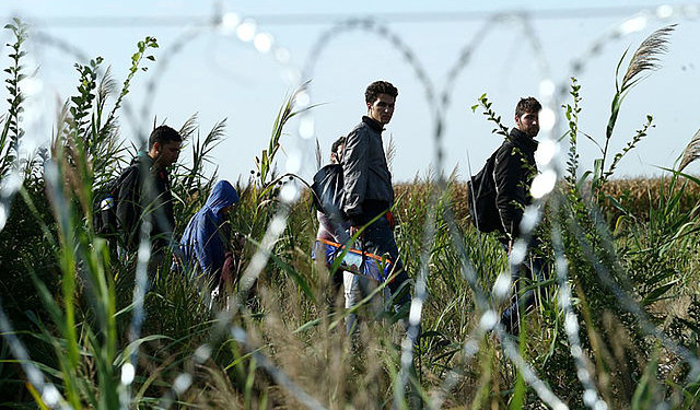Migrants in Hungary near the Serbian border on August 15, 2015.