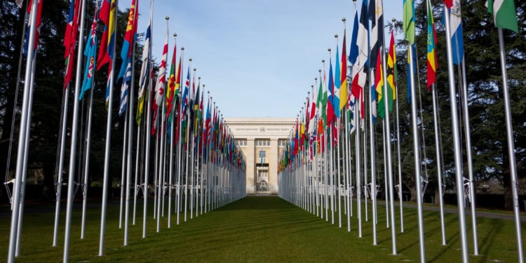 What Is Wrong With the UN?