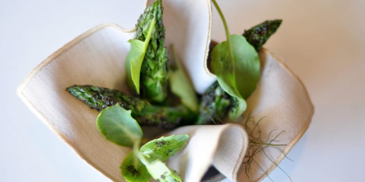 Michelin Stars For Sustainable Gastronomy