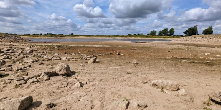 Netherlands Now Facing Drought After Centuries of Fighting Too Much Water