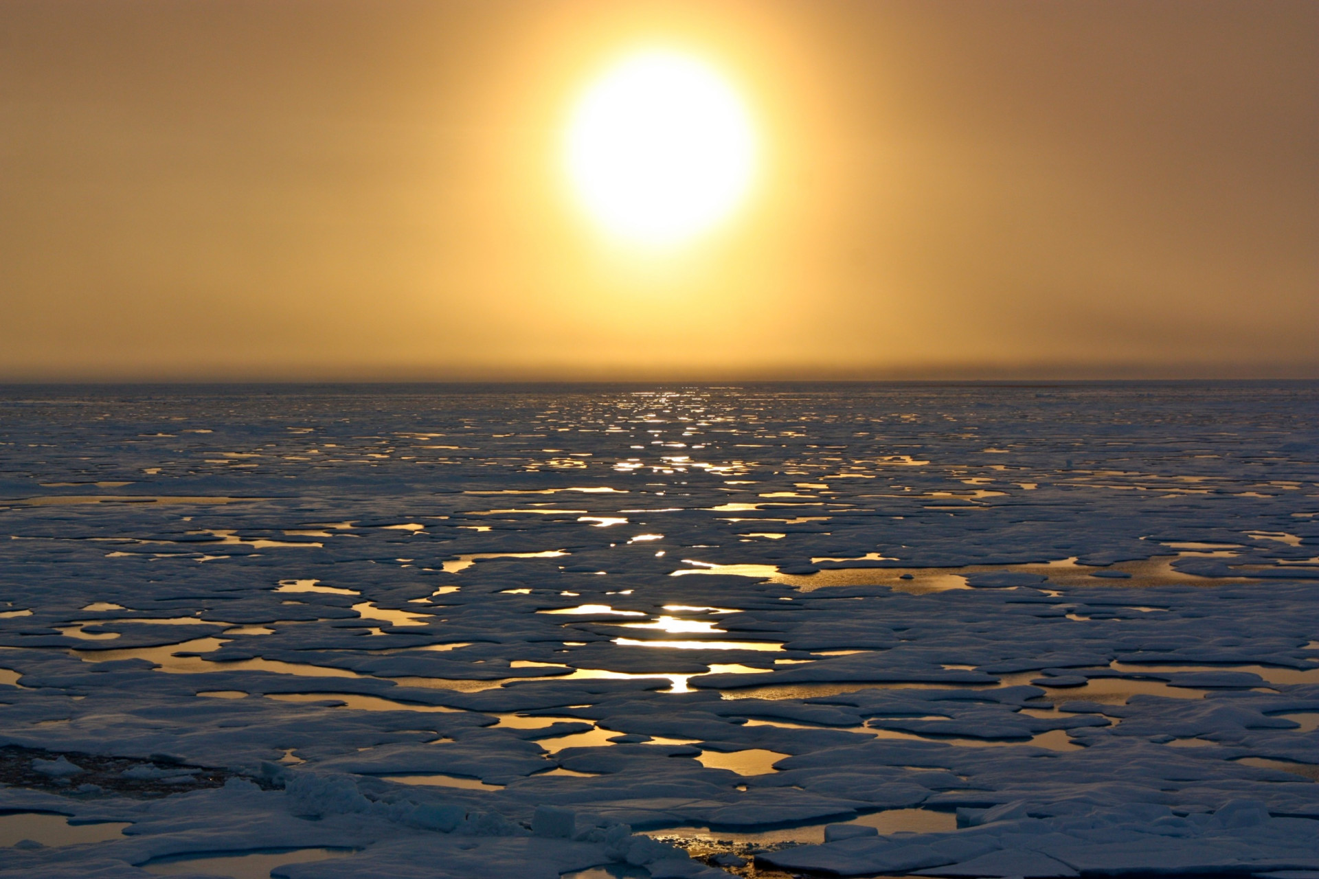 arctic climate change