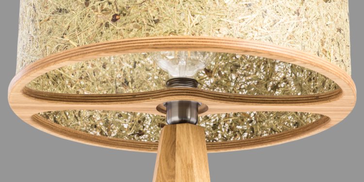 ALMUT von Wildheim: Shedding Light on Eco Home Décor