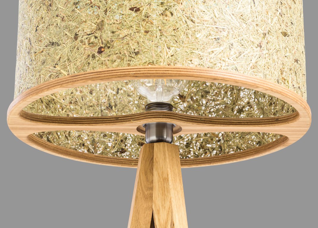 ALMUT von Wildheim: Shedding Light on Eco Home Décor