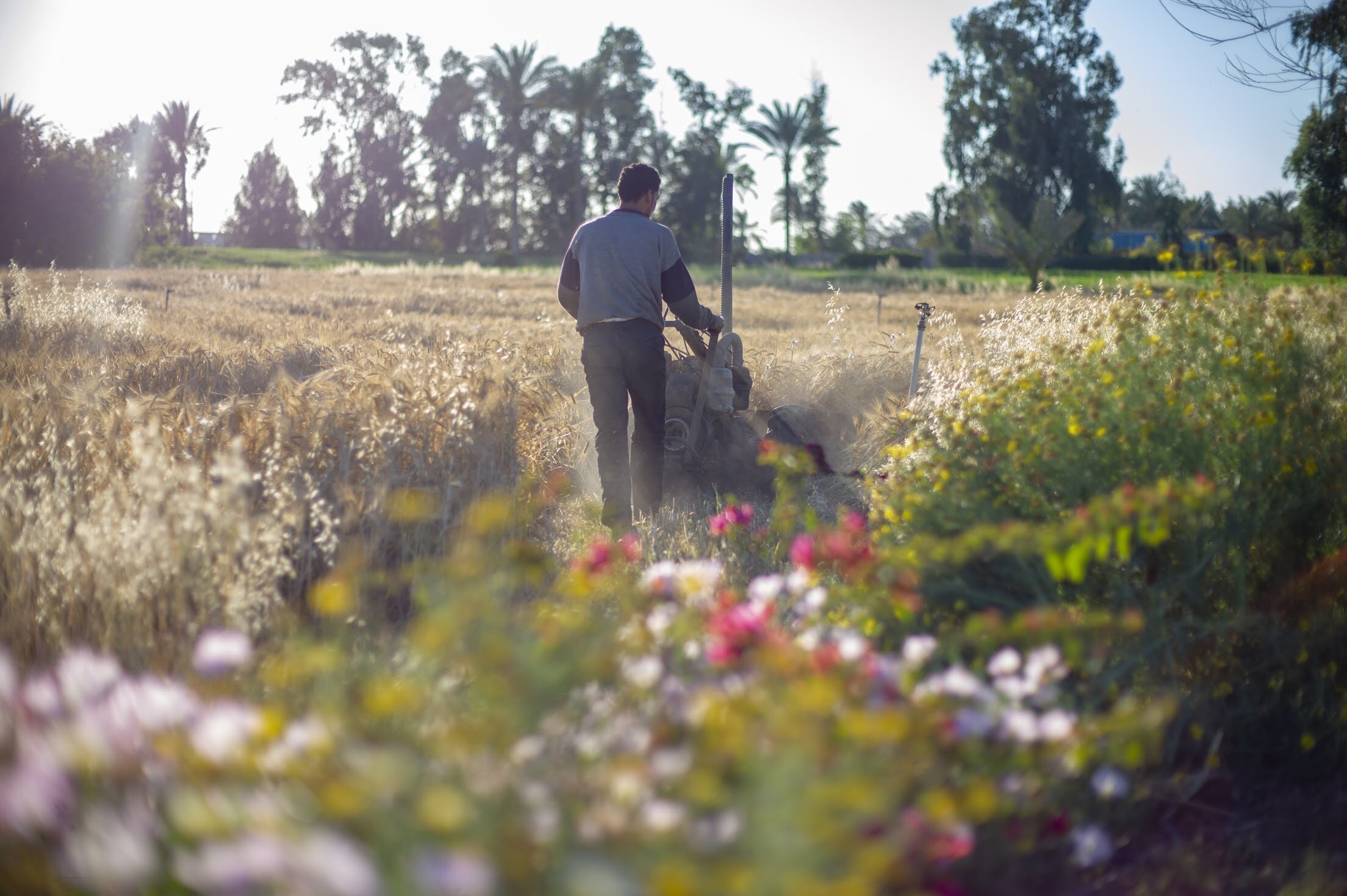 Turning Desert Into Fertile Soils: Interview With Helmy Abouleish