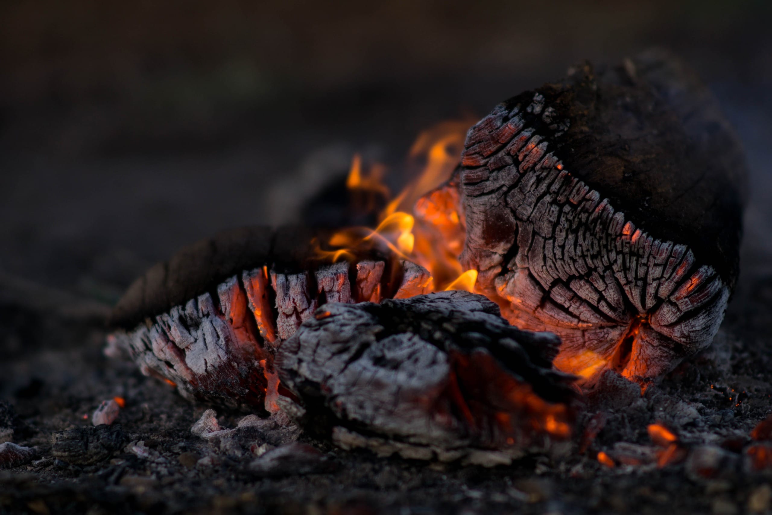 europeans-return-to-wood-burning-for-warmth-impakter